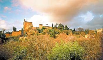 Los jardines del carmen de los Catalanes estarán abiertos al público hasta el último día de febrero. Después se iniciarán los trabajos para su recuperación.