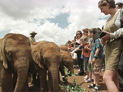 Turistas junto a unas crías de elefante en un parque nacional próximo a Nairobi (Kenia).
