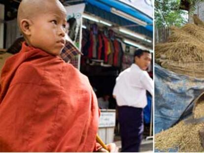 Zaw Zaw (izquierda) busca comida en las calles de Yangon. A la derecha, Sakir An Thew prepara frente a su casa paja para vender, en Mandalay.