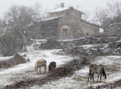 La nieve ha llegado esta mañana a Olot (Girona).