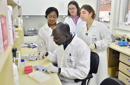 Cient&iacute;ficos nigerianos reciben formaci&oacute;n en un proyecto de gen&eacute;tica molecular de pollos.