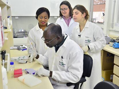 Cient&iacute;ficos nigerianos reciben formaci&oacute;n en un proyecto de gen&eacute;tica molecular de pollos.