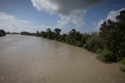 Tramo del Guadalquivir donde se vierten las aguas de la mina junto a Sevilla mediante una tubería subterránea de 12 kilómetros.  