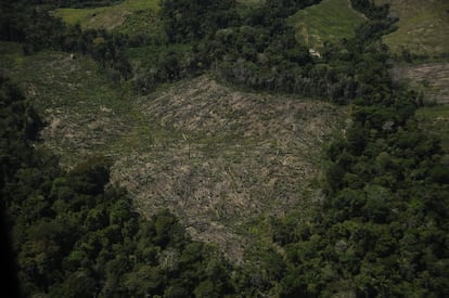 La pérdida de cobertura boscosa se ha vuelto preocupante en la Amazonía peruana. Entre enero y agosto de 2021 se deforestaron 12.345 hectáreas. Durante el mismo periodo del año anterior fueron 9.000, lo que representa un incremento considerable.