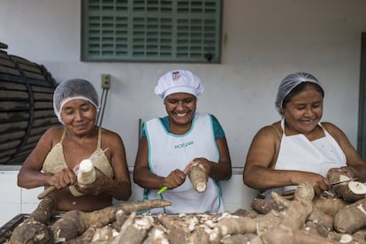 Maria do Carmo Vieira Araujo, 50, Ednalva Maria de Jesus, 31, y Dilma Jesus Panteleon, 40, pelan raíces de mandioca en la sede de la Unidad de Aprovechamiento de la Mandioca de la Asociación Comunitaria Kirirí Santo André de Marcação, en la aldea del mismo nombre. Los proyectos Gente de Valor y Pro-semiárido han hecho especial énfasis en la incorporación de las mujeres a puestos de trabajo renumerados, lo que les facilita no sólo trabajar, sino socializar y ser reconocidas como personas que contribuyen al bienestar económico de la comunidad.