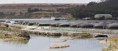 Piscifactoría de rodaballo de Pescanova en la costa de Xove, cerca del lugar donde la Consellería do Mar quiere resembrar el molusco de zonas contaminadas.