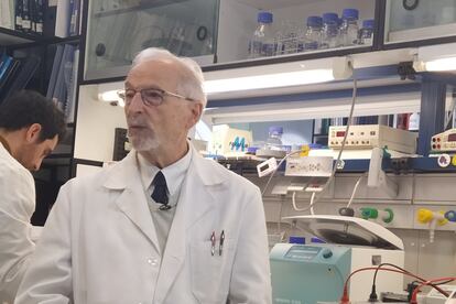 El investigador Luis Enjuanes, en uno de los laboratorios (nivel 1, el más seguro) del CNB-CSIC.