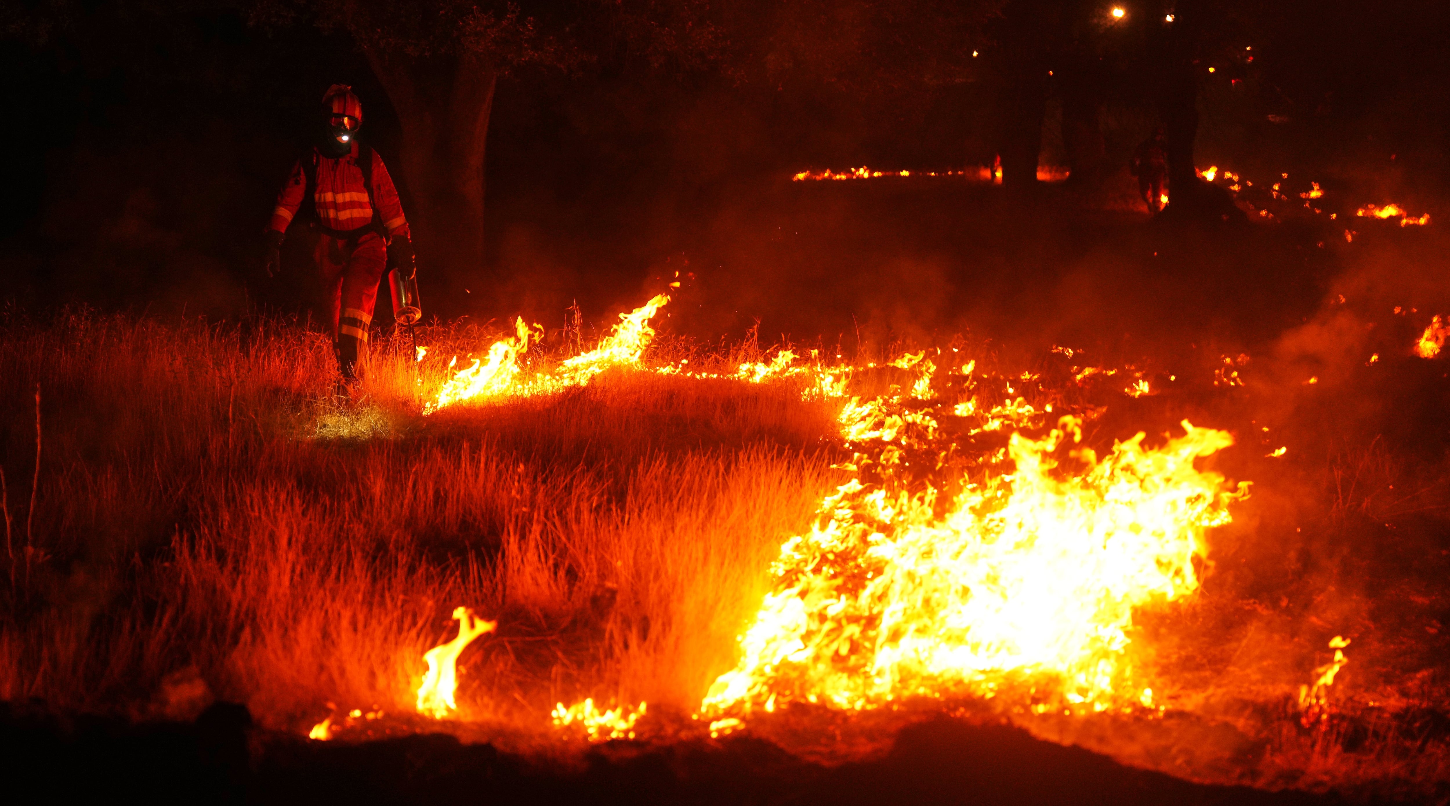 Última hora de los incendios forestales, en directo | Los trabajos en la sierra oeste de Madrid se centran en el entorno del río Cofio, uno de los puntos críticos