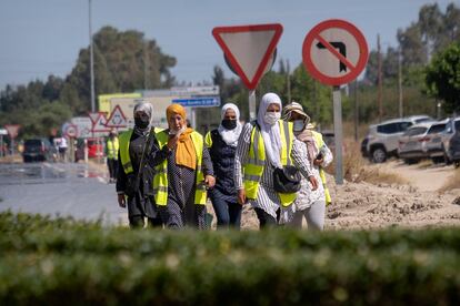 Un grupo de mujeres de origen magrebí caminan junto a la carretera después de terminar su jornada laboral en los invernaderos cercanos a la aldea de El Rocío (Almonte, Huelva).