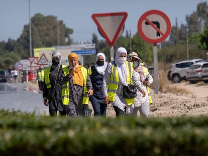 Un grupo de mujeres de origen magrebí caminan junto a la carretera después de terminar su jornada laboral en los invernaderos cercanos a la aldea de El Rocío (Almonte, Huelva).