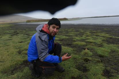 Alan Chamorro, biólogo peruano de la Asociación Ecosistemas Andinos (ECOAN).