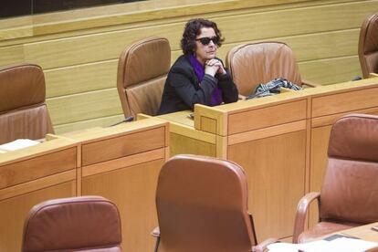La diputada Carmen Iglesias en el Parlamento 