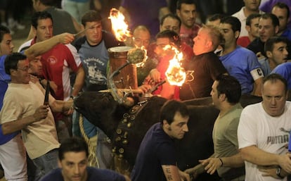 Bou embolat en un pueblo valenciano.