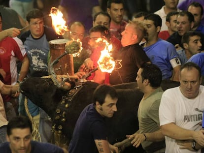 Bou embolat en un pueblo valenciano.