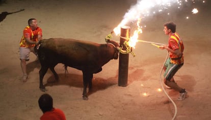 'Correbous' in a Catalan town.