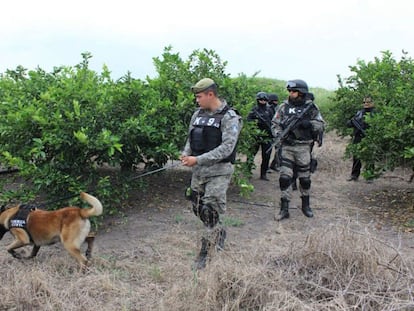 La polic&iacute;a busca cuerpos en Veracruz en enero de este a&ntilde;o. 