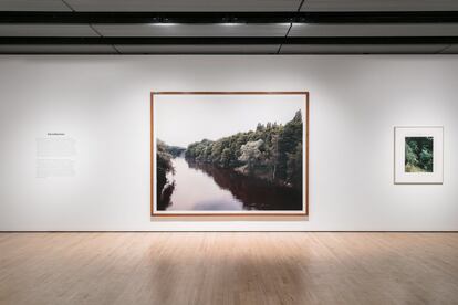 Imagen de la instalación en la Hayward Gallery de Londres