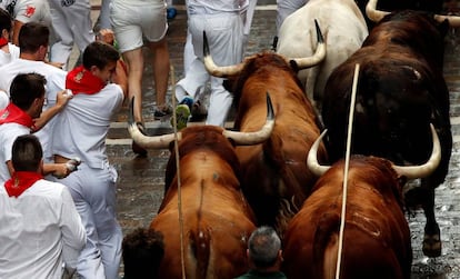 Toros de Pedraza de Yeltes han protagonizado el cuarto encierro de San Fermín 2016.