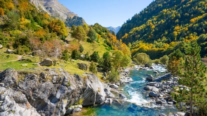 El río Ara en el valle de Bujaruelo, en el Pirineo de Huesca.