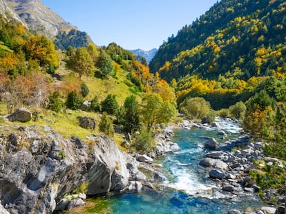 El río Ara en el valle de Bujaruelo, en el Pirineo de Huesca.