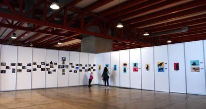 Exposición animalista ‘Black is Black’ de la fotógrafa Elena Castro, un proyecto sobre la discriminación de los animales de color negro respecto al número de adopciones.