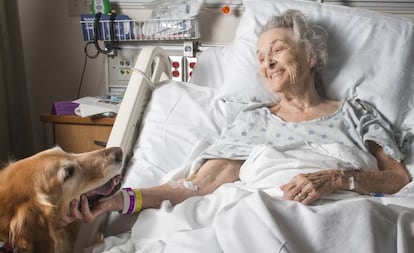 Una mujer saluda a su perro en el hospital.