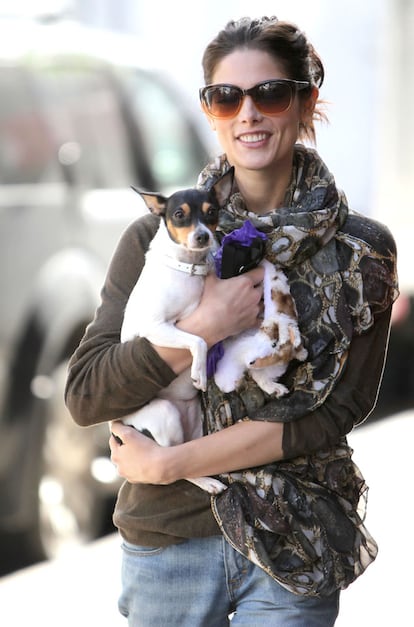 Su perro es uno de sus mejores amigos. Ashley suele ser fotografiada con su mascota mientras pasean por Nueva York.