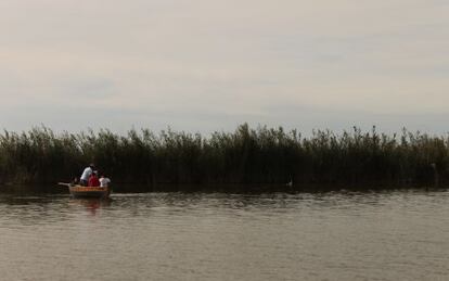 Pescadores locales faenando en el 'lluent' (el luciente), tal y como estos mismos llaman a la Albufera de Valencia, el mayor lago de agua dulce de España.