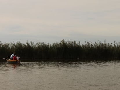 Pescadores locales faenando en el 'lluent' (el luciente), tal y como estos mismos llaman a la Albufera de Valencia, el mayor lago de agua dulce de España.