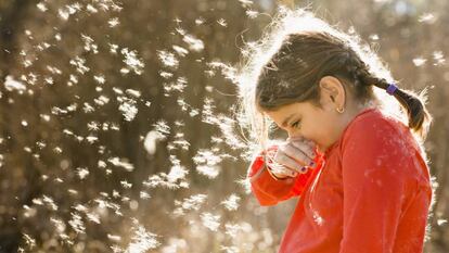 Llega la primavera… ¡Cómo me pica la nariz!