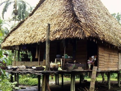 Razones y consecuencias de poseer 300.000 objetos