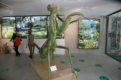 Una reproducción gigante de una mantis religiosa preside la entrada al museo de microfauna.