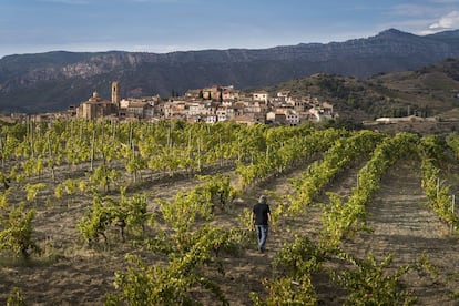 René Barbier pasenado por sus viñas que producirán Clos Mogador.