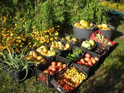 ¿Pasear los parques? Queremos labrarlos y compartir sus frutos