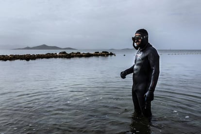 Emilio Cortés Melendreras takes samples of fan mussels in the Mar Menor.