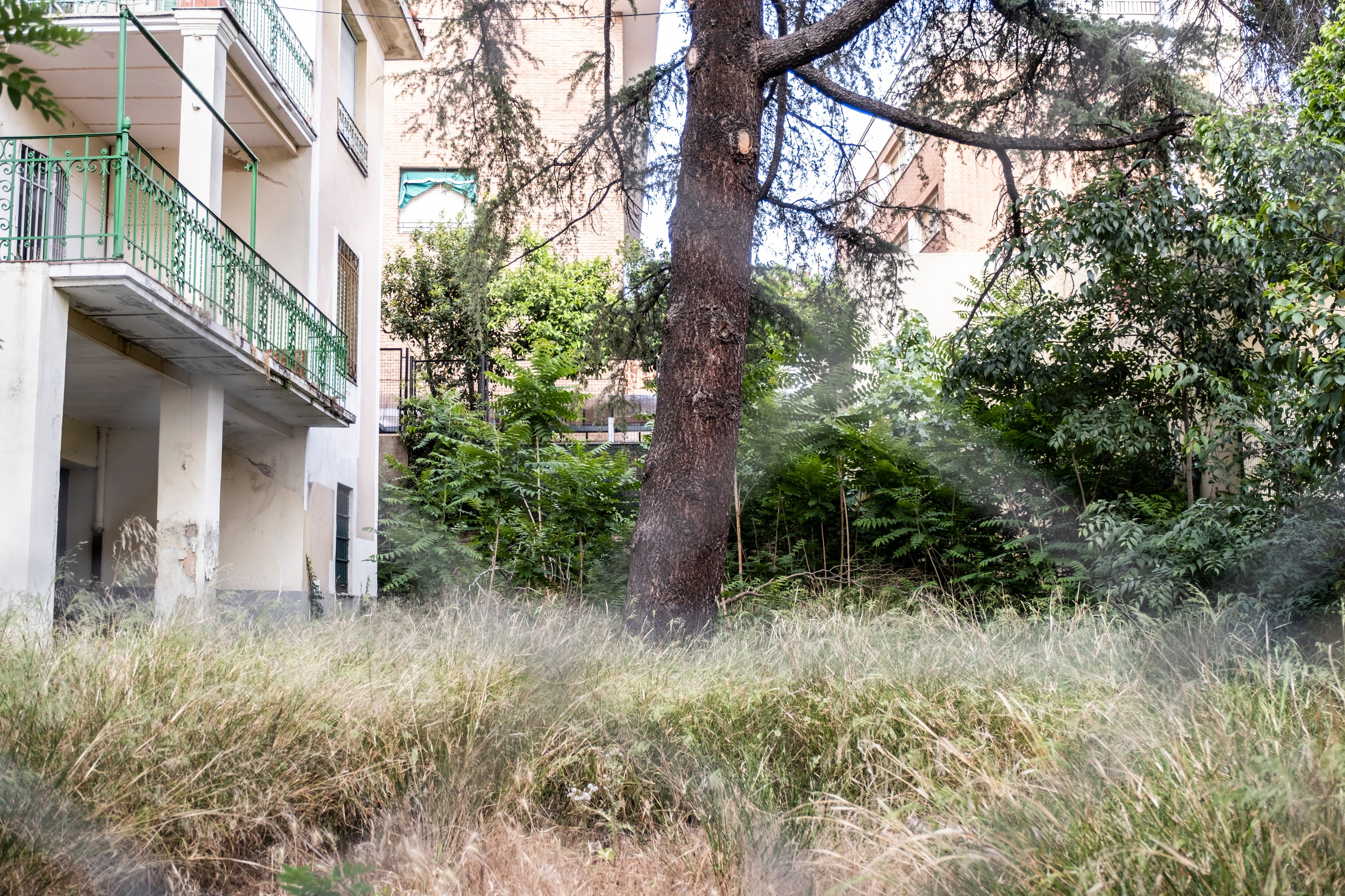 Jardín interior de la vivienda que fue de Vicente Aleixandre, en la colonia Parque Metropolitano