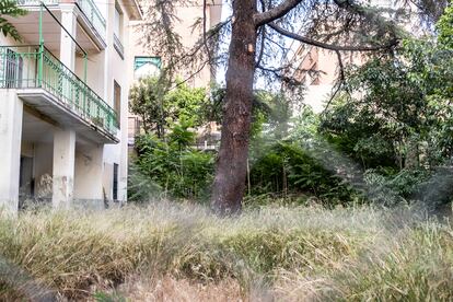 Jardín interior de la vivienda que fue de Vicente Aleixandre, en la colonia Parque Metropolitano, en Madrid.