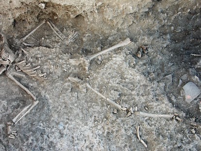 Esqueleto infantil hallado en el yacimiento de Libisosa (Albacete).