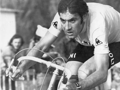 Eddy Merckx