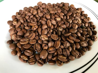 CAFÉ DE AGAETE / CAPEL