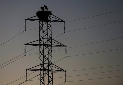 Dos cigüeñas, sobre una torre de tendido eléctrico en Pamplona.