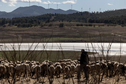 Vista general del embalse del Guadalteba, y un pastor con sus ovejas.