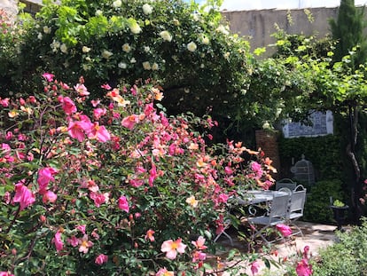 Los colores rosados y amarillentos de la rosa 'Mutabilis' iluminan el jardín alquímico de Manuel Gómez Anuarbe en Uclés (Cuenca).