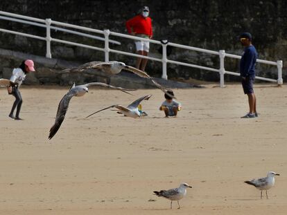 Varias gaviotas sobrevuelan la playa de San Lorenzo, en Gijón.