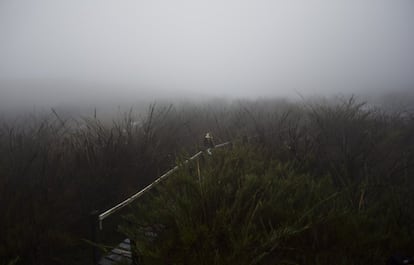 Páramo en el Parque Nacional de Chingaza, en Colombia