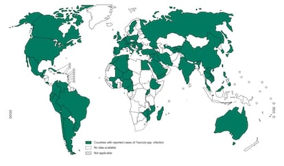 Distribución de la fasciolasis en el mundo.