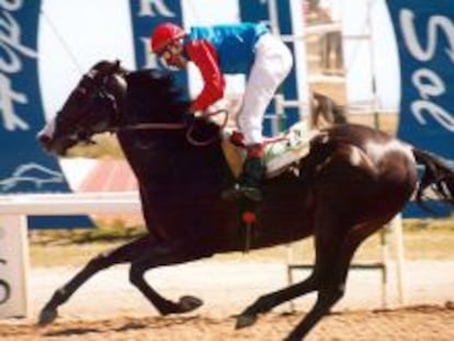 Un hipódromo efímero en la Castellana