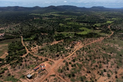 In the middle of the Brazilian 'sertão,' a region with a semi-arid climate that extends across the northeast of the country, the quilombos of Tapuio and Custaneira, in the state of Piauí, are two examples of collective organization and agricultural production that are resisting the onslaught of climate change. The quilombos, founded by slaves fleeing forced labor, are resilient communities that subsist thanks to family farming. Seventy-six percent of them are located in northeastern Brazil.