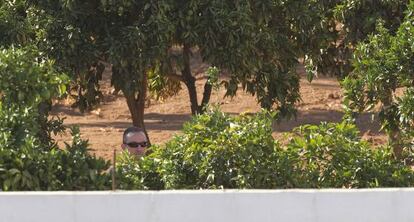 Bretón en un registro en la finca de Las Quemadillas, en mayo de 2012.