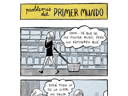 Problemas del primer mundo